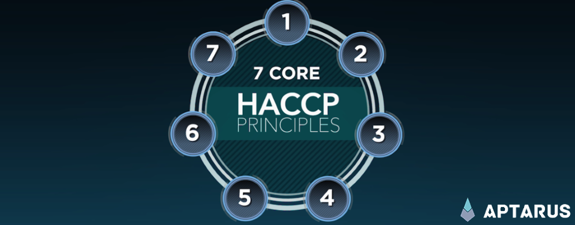 Clandestine Entrants